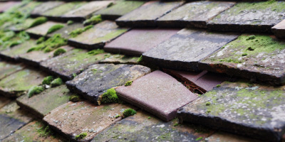 Peterhead roof repair costs